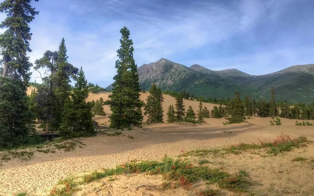 Khí hậu ở Carcross