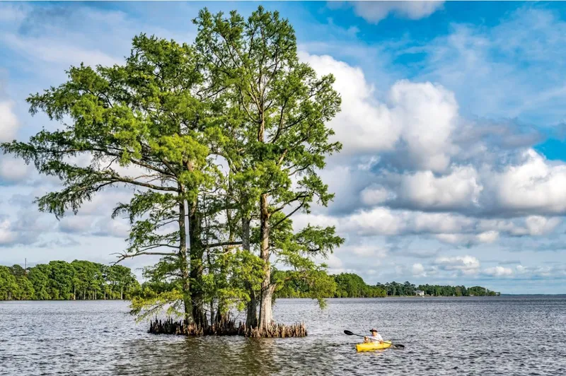 Chèo thuyền kayak trên sông Roanoke