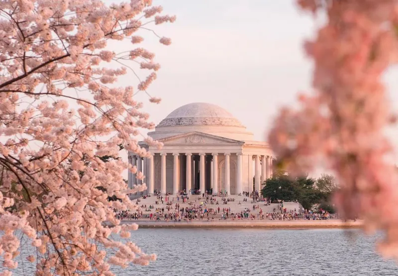 Mùa xuân là thời điểm tốt nhất để tới Washington DC
