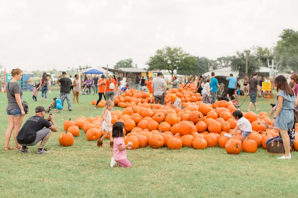 Lễ hội bí ngô ở các trang trại địa phương