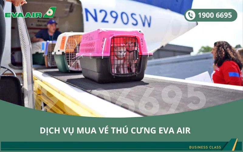 Dịch vụ đặt vé máy bay EVA Air cho thú cưng chó mèo đi Seattle Mỹ