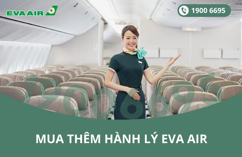 Mua thêm hành lý EVA Air đi San Diego Mỹ