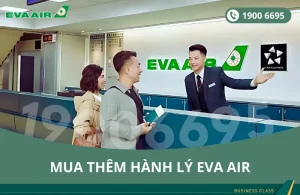 Mua thêm hành lý EVA Air đi San Jose
