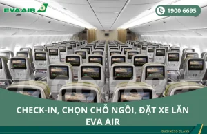 Dịch vụ check-in, chọn chỗ ngồi, đặt xe lăn EVA Air đi Detroit Mỹ
