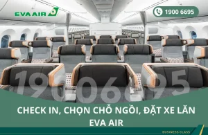 Dịch vụ check-in, chọn chỗ ngồi, đặt xe lăn EVA Air đi Miami Mỹ