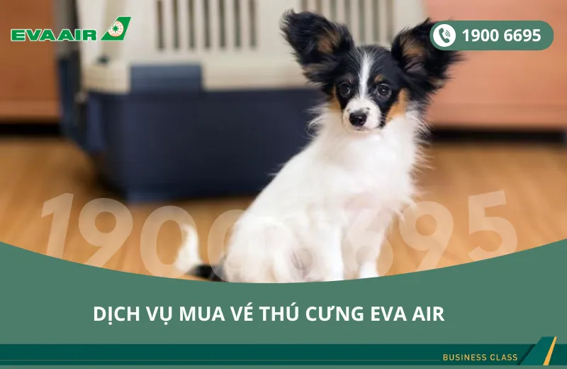 Dịch vụ đặt vé EVA Air cho thú cưng chó mèo đi Anchorage Alaska Mỹ