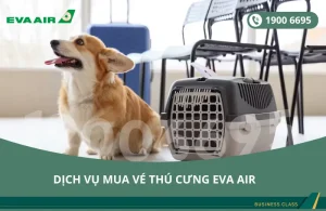 Dịch vụ đặt vé EVA Air cho thú cưng chó mèo đi Detroit Michigan Mỹ