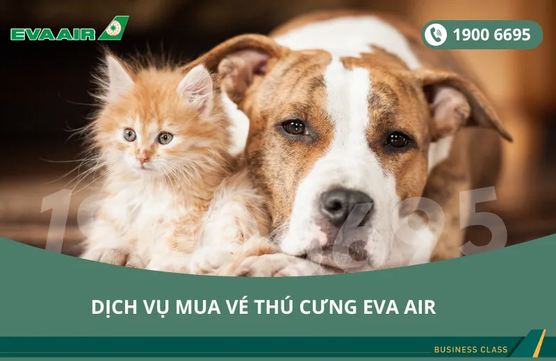 Dịch vụ đặt vé EVA Air cho thú cưng chó mèo đi Newark New Jersey Mỹ