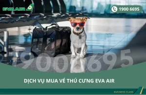 Dịch vụ đặt vé máy bay EVA Air cho thú cưng chó mèo đi Alanta MỹDịch vụ đặt vé máy bay EVA Air cho thú cưng chó mèo đi Alanta Mỹ