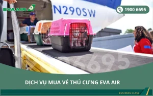 Dịch vụ đặt vé máy bay EVA Air cho thú cưng chó mèo đi Honolulu Mỹ