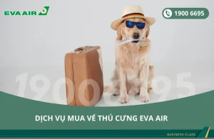 Dịch vụ đặt vé máy bay EVA Air cho thú cưng chó mèo đi Houston Mỹ