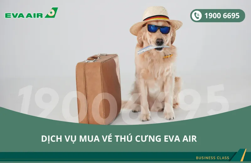 Dịch vụ đặt vé máy bay EVA Air cho thú cưng chó mèo đi Houston Mỹ