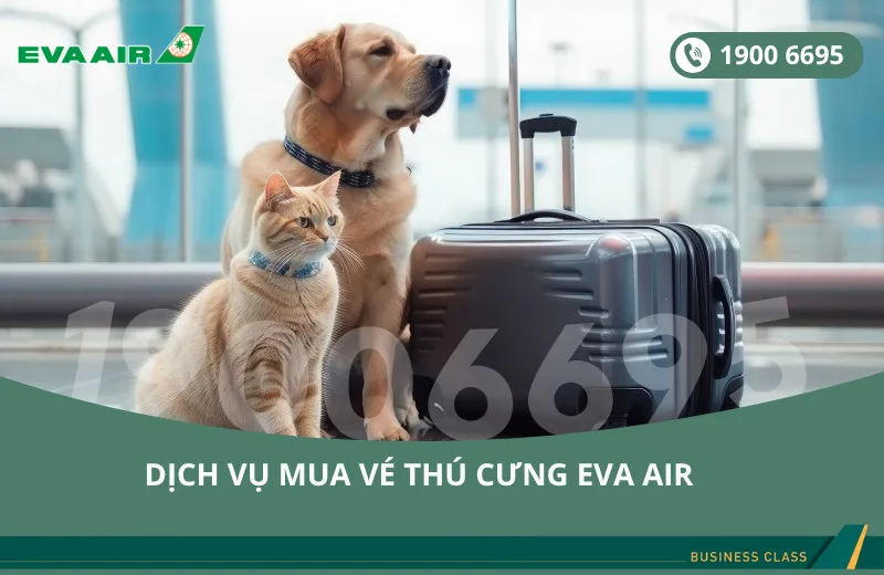 Dịch vụ đặt vé máy bay EVA Air cho thú cưng chó mèo đi Miami Mỹ