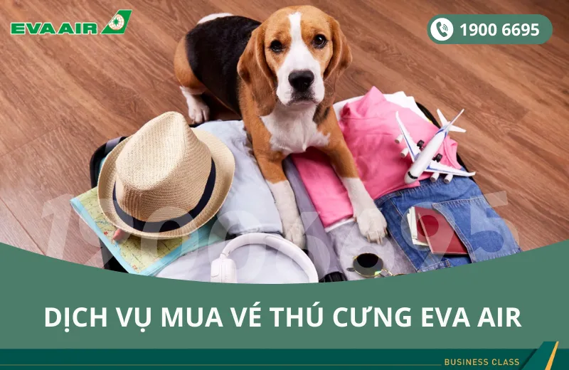 Dịch vụ đặt vé máy bay EVA Air cho thú cưng chó mèo đi Mỹ
