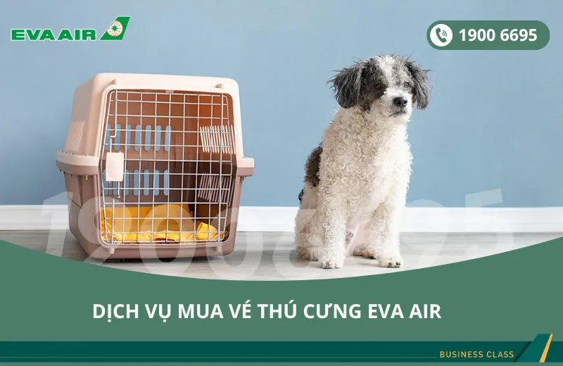 Dịch vụ đặt vé máy bay EVA Air cho thú cưng chó mèo đi Philadelphia Mỹ